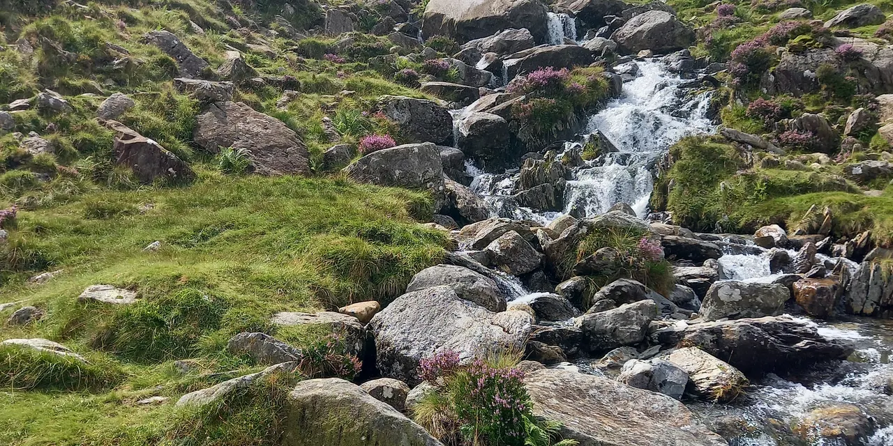 An upland stream running through a moorland catchment