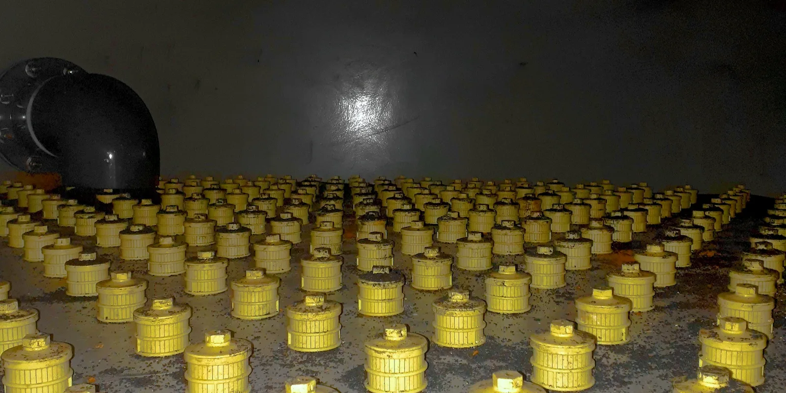 Filter nozzles exposed in a drained filter bed